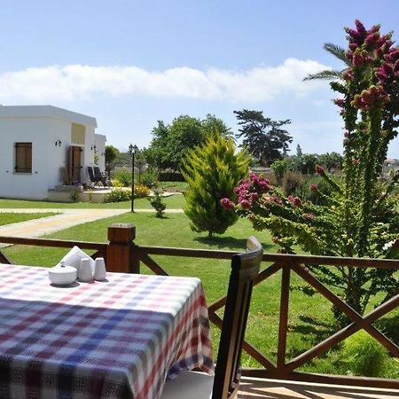 Villa Lembos Hotel Karpaz Rizokarpaso Εξωτερικό φωτογραφία